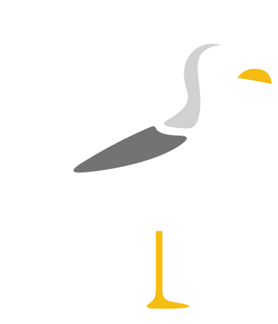 Flight School