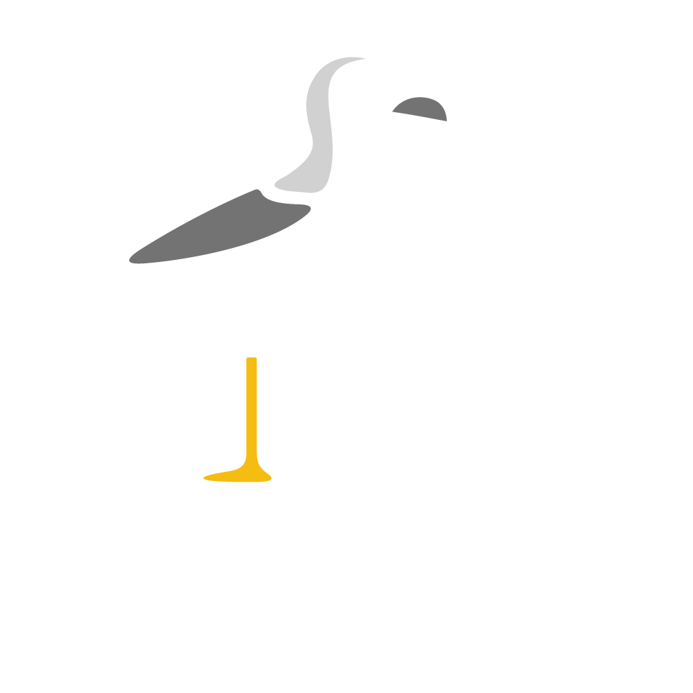 Flight School